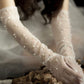 Pearl Mesh Gloves