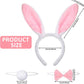 3 piece Bunny