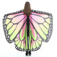 Butterfly Wings